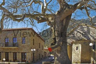 Λέξεις για τον γενέθλιο τόπο