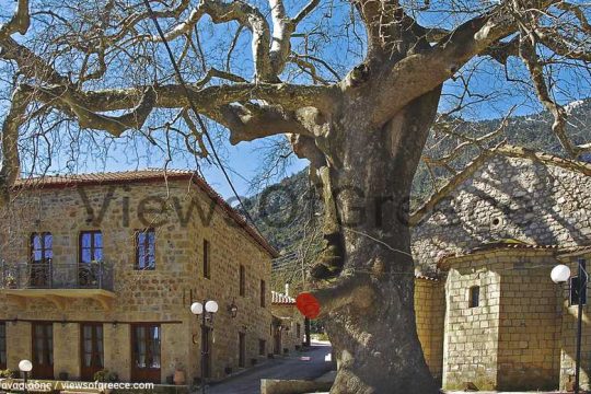 Λέξεις για τον γενέθλιο τόπο