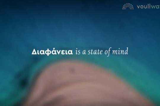 Vouliwatch: «Διαφάνεια… is a state of mind»