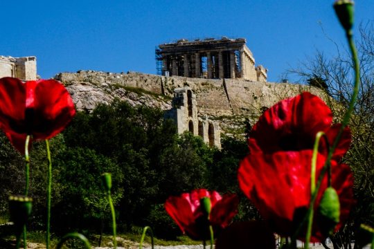 Η χαμένη άνοιξη