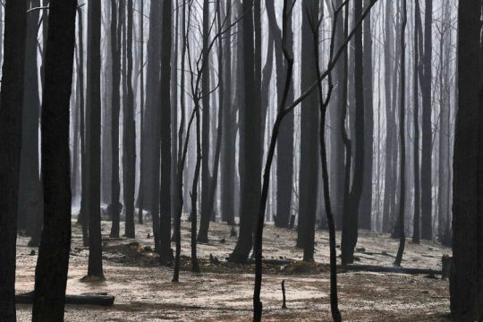 Δορυφορικά η καταγραφή των καμένων εκτάσεων στην Κρήτη