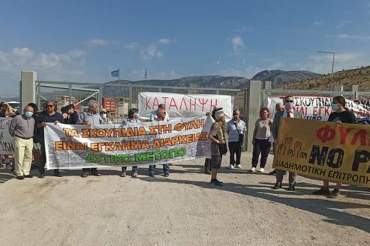Σύντομος αποκλεισμός στη Φυλή