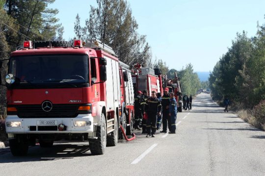 Φωτιά σε δάσος στη Σιθωνία της Χαλκιδικής