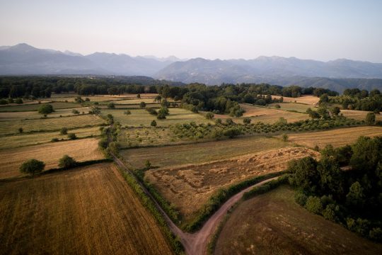 Κόρη Ιουνίου σε σταροχώραφο