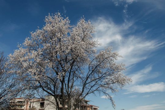 Μικρή άνοδος της θερμοκρασίας και μεταφορά σκόνης