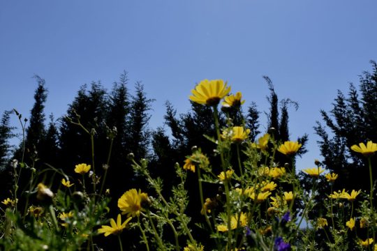 Χωρίς αξιόλογη μεταβολή η θερμοκρασία