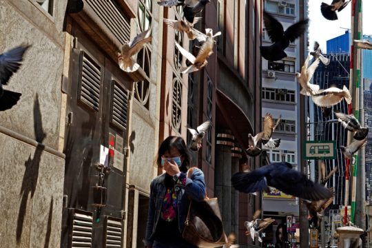 Πιστά αγωνίζομαι για ομορφότερους καιρούς (8 Ιουνίου)