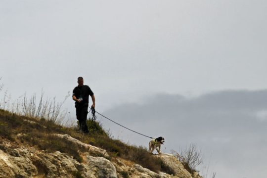Έρευνα στο Βέλγιο για δολοφονία έφηβης – ίσως συνδέεται με την εξαφάνιση της Μαντλίν