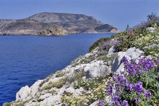 Ηχηρό «όχι» στο περιβαλλοντικό έγκλημα του Αιγαίου