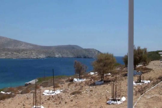 Φορείς της Κρήτης καθαρίζουν τη νήσο Ντία