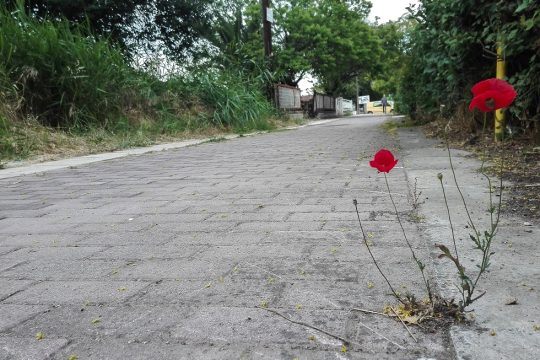 Για την κοινωνική και ψυχική υγεία