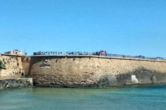Τις κοπές δέντρων στα Χανιά καταγγέλλει η Οικολογική Πρωτοβουλία