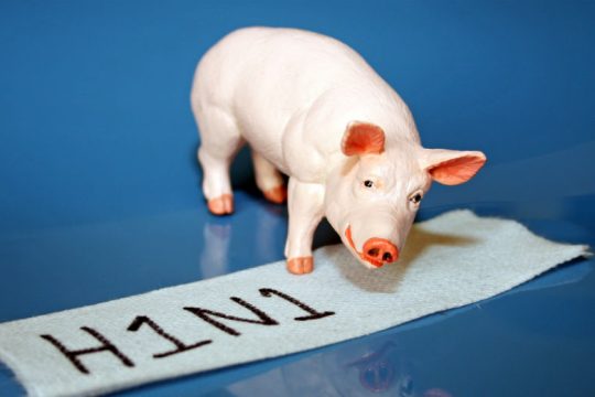 Επιφυλακή και επαγρύπνηση συστήνει ο ΠΟΥ για τη νέα γρίπη των χοίρων