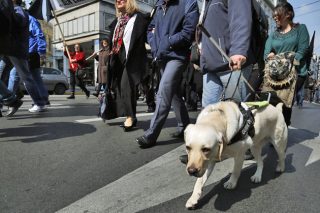 Μπροστά στο γεγονός να μείνω άγρυπνος και όρθιος (20 Ιουνίου)