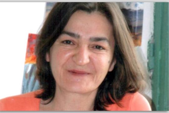 «Η δημοσιογραφία στη φυλακή» της Τουρκίας