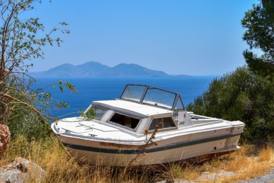 Επιβίωση ΛΕ΄