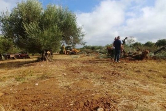 Λύση στο πρόβλημα με τις απαλλοτριώσεις του αεροδρομίου στο Καστέλι