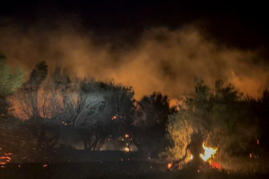 Πυρκαγιά μέσα στη νύχτα στην Κεφαλονιά