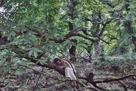 Η μουσική στις ταινίες υπηρετεί το σκηνοθετικό όραμα