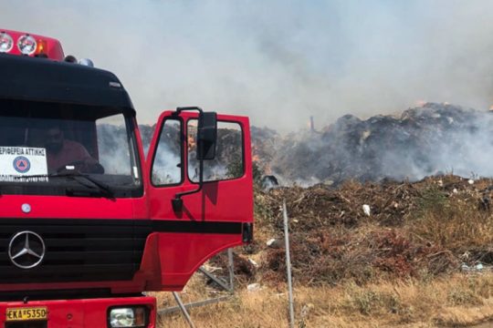 Ελεγχόμενη η φωτιά σε Θεολόγο και Πήλο