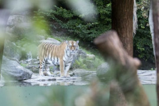 Όταν η φύση εκδικείται…