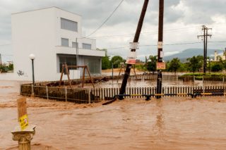 Συνωστισμός (και ανάσταση) αρμυρικιών