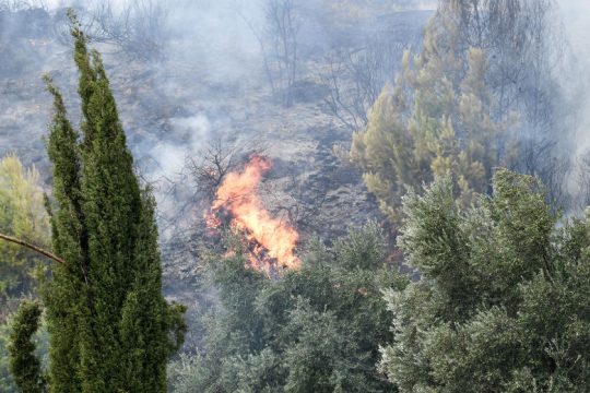 Δασική πυρκαγιά κοντά στην Αρχαία Ολυμπία