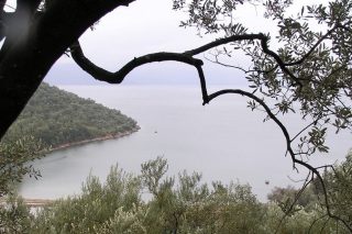 Στην εξοχή