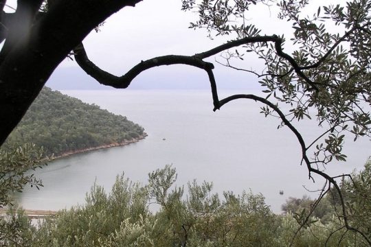Στην εξοχή