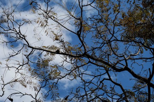 Άστατος καιρός στα ορεινά, καλοκαιρία στο μεγαλύτερο μέρος της χώρας