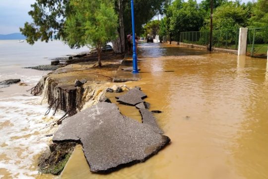 Αυτοψία της efsyn.gr στην Εύβοια – «Τα Πολιτικά τουλάχιστον για φέτος τέλειωσαν»