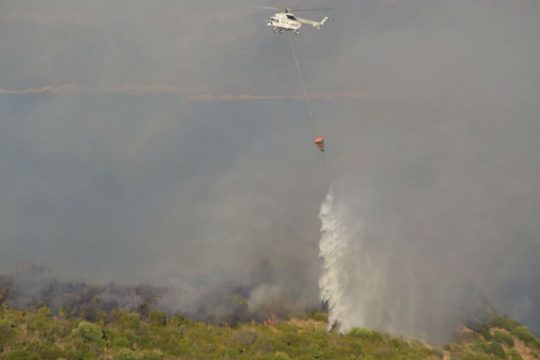 Κέρκυρα: Στάχτη περισσότερα από 200 στρέμματα δάσους στον Ερημίτη