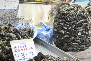 Ο κορονοϊός έπληξε και τους μυδοκαλλιεργητές