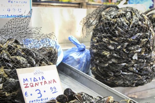 Ο κορονοϊός έπληξε και τους μυδοκαλλιεργητές