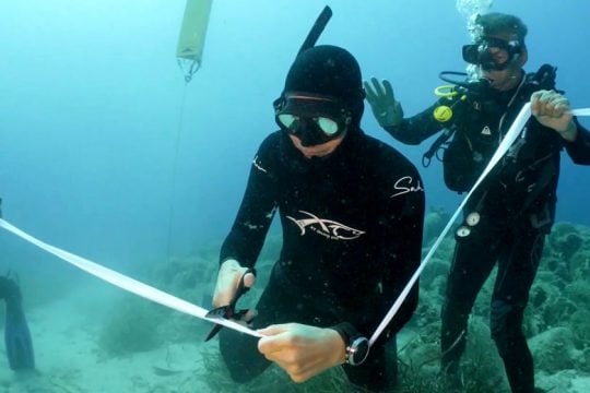 Εγκαίνια στο πρώτο ελληνικό υποβρύχιο μουσείο