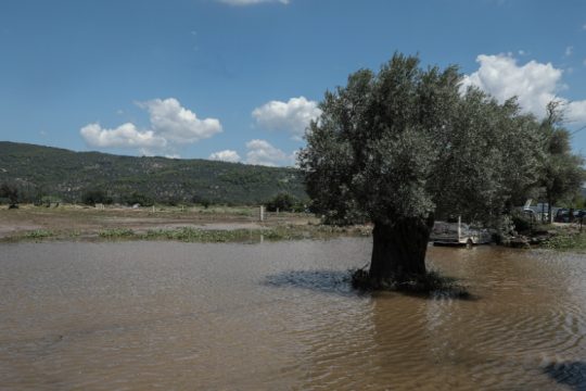 Η διαδρομή της ευθύνης για την τραγωδία στην Εύβοια