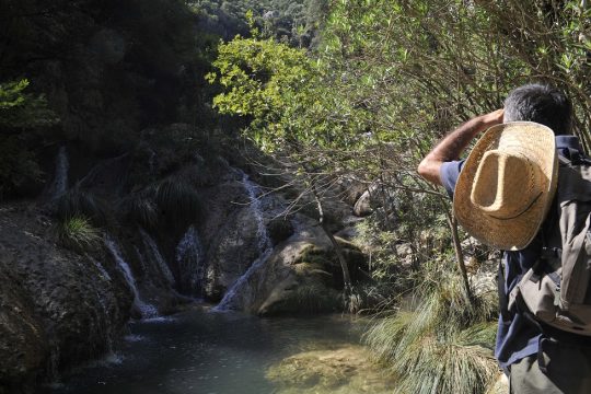 Χάπι χίπι τρίπι