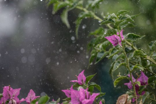 Βροχές και καταιγίδες σε όλη τη χώρα