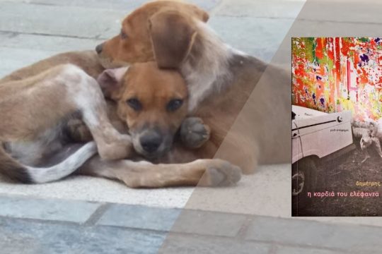 Ανθρώπινες ιστορίες τον καιρό της κρίσης και των μνημονίων
