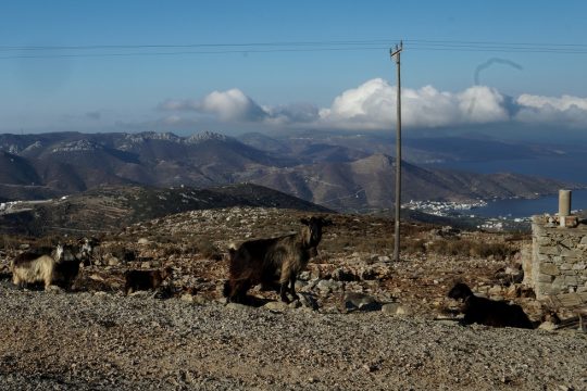 Ψάχνουν ακόμη τον Αμερικανό τουρίστα στην Αμοργό