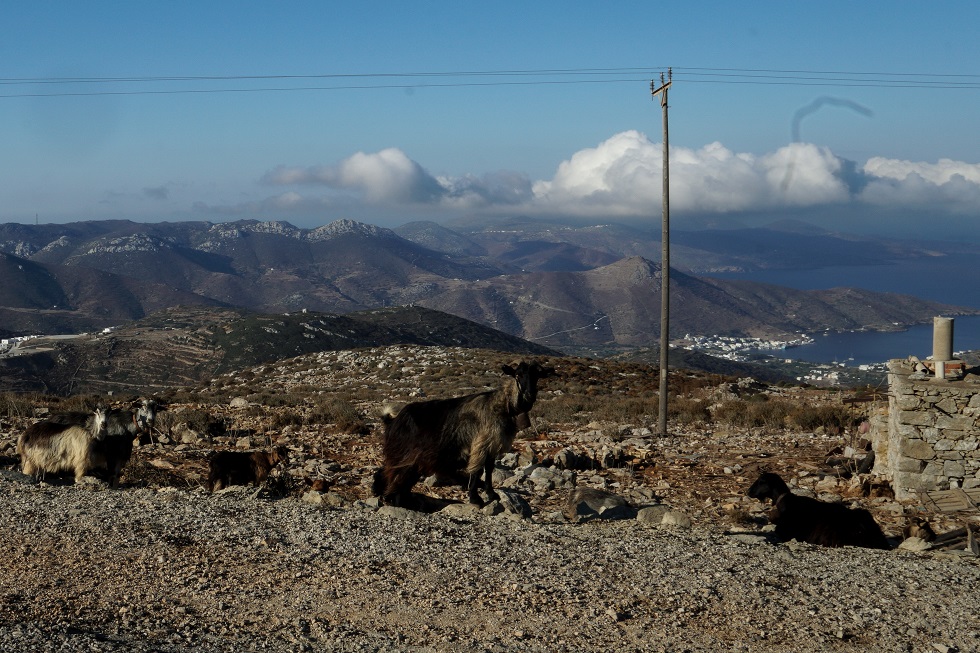 Ψάχνουν ακόμη τον Αμερικανό τουρίστα στην Αμοργό