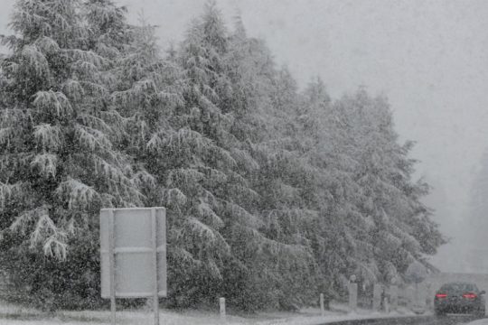 Ξαφνική, πυκνή και εκτός εποχής χιονόπτωση στις Άλπεις