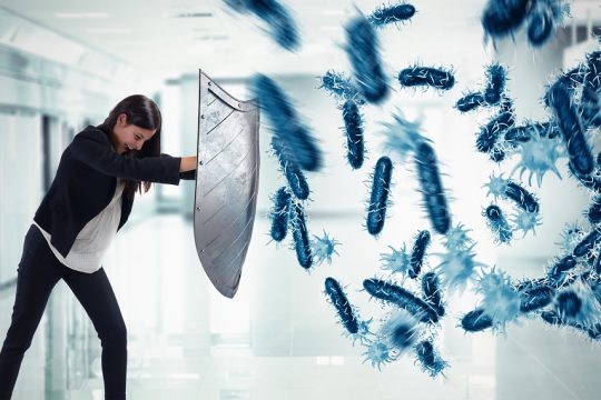 Μυγοσκοτώστρα και ιοσκοτώστρα
