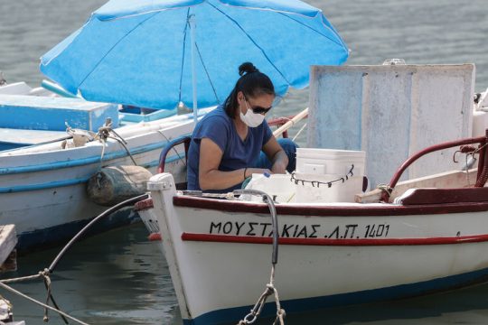 Ημερολόγιο πανδημίας (3)