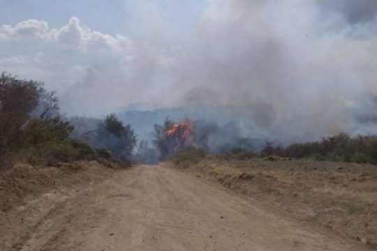Χωρίς ενεργό μέτωπο η πυρκαγιά στην Βούντενη Πάτρας