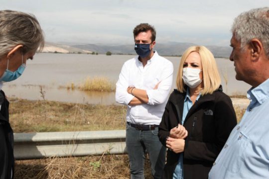 Φ. Γεννηματά: Δεν αρκούν τα μέτρα για τους πληγέντες της Καρδίτσας