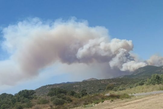 Υπό μερικό έλεγχο η πυρκαγιά κοντά στην Κυπαρισσία