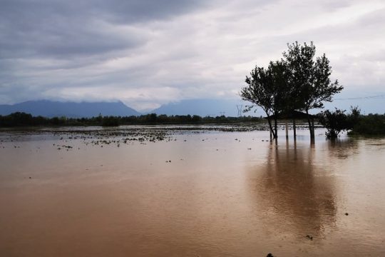 Η λάσπη του κάμπου