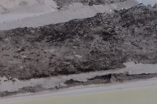 Η αδιαφορία παραλίγο να φέρει τραυματισμούς μαθητών στο Μαρκόπουλο