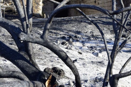 «Αισθητικό» το πρόβλημα για τη Μενδώνη